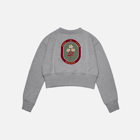 club grey sweater